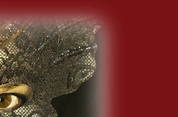 Alexandra Winkler - Schauspielerin